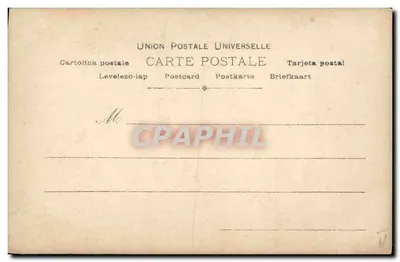 Tom (Perro Braque de Saint Germain) — Fotografía de perro Braque — Paul Boyer, París, n°12/7 — Reverso