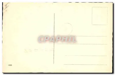 Dwa szczeniaki Cavalier King Charles — nr 1006 — Rewers