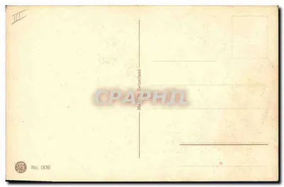 Fiori di crisantemo — disegno ad acquarello — E. Klein — STF No. 1330 — Verso
