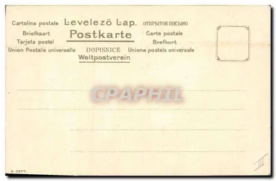 Mata de myosotis — ilustração botânica — editor S. 3977 — Verso