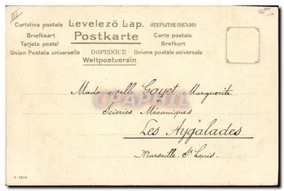 Flores de gerânio — ilustração colorida — editor não identificado, número de série não visível — Verso