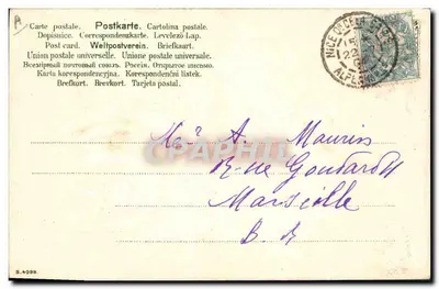 Rosa amarilla — ilustración — editor no identificado, número de serie no visible — Reverso