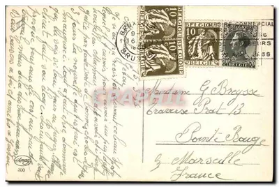 Cão de caça — Springer Spaniel — editor Amag, n°300 — Verso