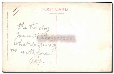 Poodledog — met een rood lint — The Carlton Publishing Co., London E.C. Gedrukt in Duitsland — Achterkant