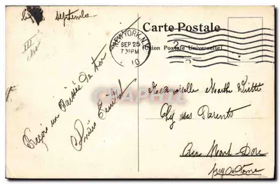 T.S.S. NEW AMSTERDAM — paquebot de la Holland-America Line — éditeur FRED PANSING — Rewers