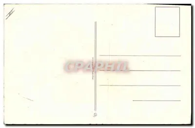 Flores de violetas y mimosa — dibujo firmado por E. Main — Reverso