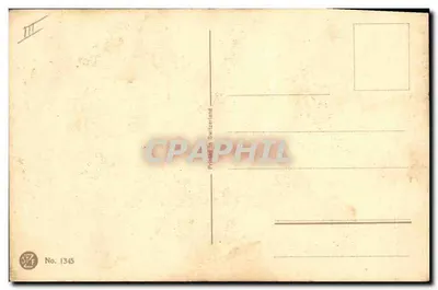 Anemoni — acquarello — E. Kainin — n° 1345 — Verso