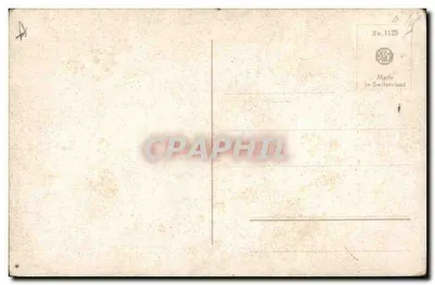Dos pájaros azul-verde y amarillos — obra de E. Kein — edición S.T.F. n°1125 — Reverso