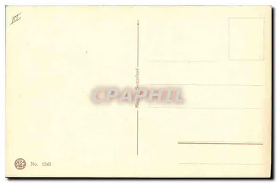 Flores de violeta — dibujo al agua — editor STF, n° 1343 — Reverso