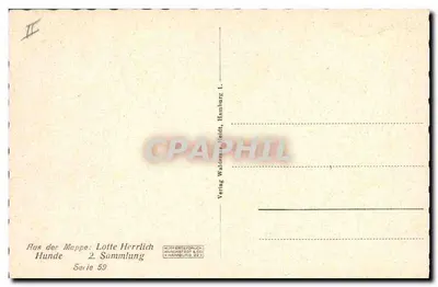 Quatro filhotes em um cesto — série 59 — Lotte Herrlich — Verso