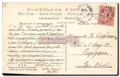 Cão Border Collie — retrato de estúdio — Cartolina Postale, Marca ad Originali depositati — Verso