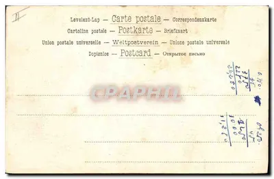 Bilhete postal antigo Cachorro Cachorros — Verso