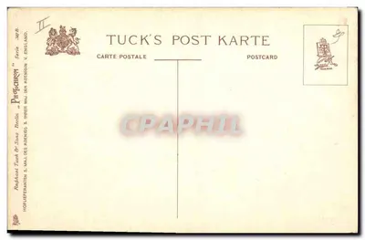 Uwięziony pies — głowa i łapka opatrzone — Tuck's Post Karte, seria II — Rewers