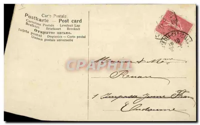 Pez rojo y violetas — Tarjeta postal multilingüe — editor Unión Postal Universal — Reverso