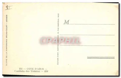 Colheita de Violetas — Grasse — Edição de Arte, Nice — Verso