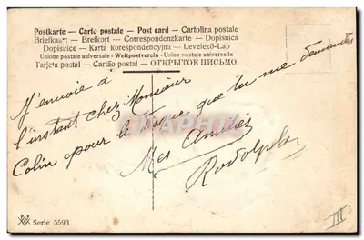 Witte roos — tekening in waterverf — C. Klein — PAF Série 5593 — Achterkant