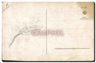 Três pássaros em galhos floridos — E. Klein — No. 1126 — Verso