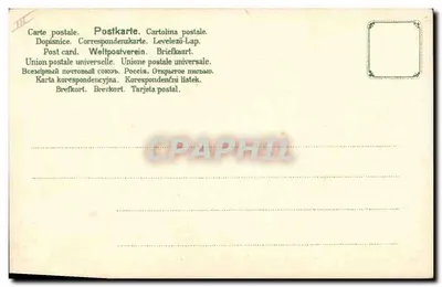 Flores de malva — pintura al agua — editor no visible — Reverso