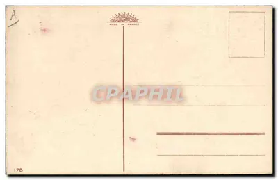 Rosa y mimosa — Feliz cumpleaños — editor V. Klein — Reverso