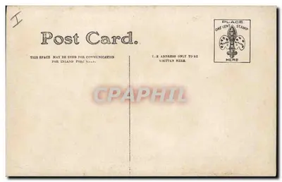 Cachorro de pelagem longa — retrato de estúdio — cartão postal irlandês — Verso
