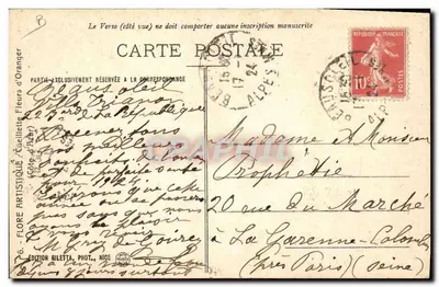 Raccolta di arance — Edizione Giletta, Nizza — n°6 — Verso