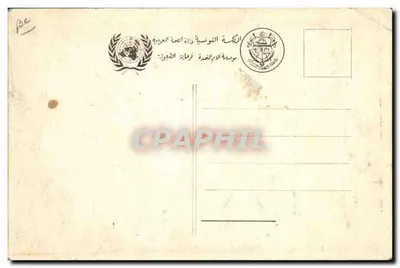 Maladie par la mouche — affiche sanitaire — éditeur : Musée de l'Égypte (imprimé sur la carte) — Verso
