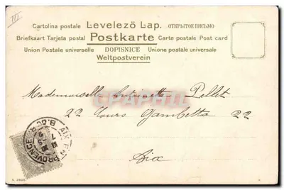 Bukiet margoczek i chryzantem — S. Klein — wydawca nie widoczny — Rewers
