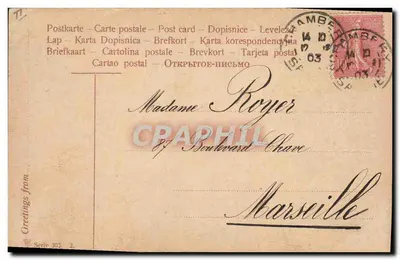 Quatro filhotes em um cesto — Express!! — Série 303, editora não identificada — Verso
