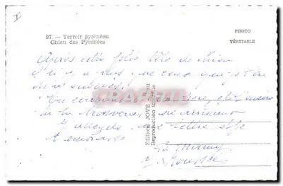 Pies Pyreńskich — Terroir pyrénéen — Wydawnictwo JOVE — Rewers