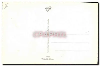 Pies rasy — portret w czarno-białym — Prawdziwa Fotografia, nr 1069 — Rewers