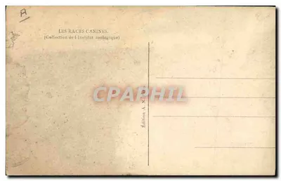 Casal de Danois Arlequins — Edição A. N. — Paris — Verso