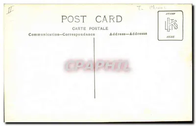Cachorro sentado em uma cadeira — foto de estúdio — cartão postal — Verso