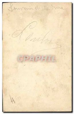 Rami di prugne — pittura ad acquarello — E. Klein — Verso