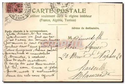Arranjo de lilases — ilustração colorida — editor não visível — Verso