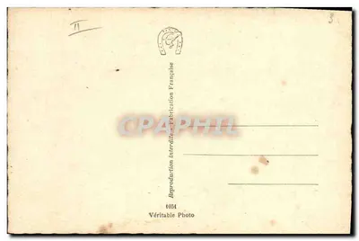 Czarny pies z falistymi włosami — portret — Prawdziwa Fotografia, n° 4054 — Rewers