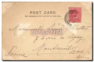 Dois Blenheim Spaniels — S. Hildesheimer & Co. Ltd. Londres & Manchester — Verso