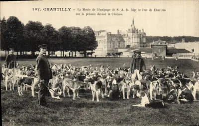 Chantilly — Die Meute der Jagdgesellschaft von S.A.R. Mgr dem Herzog von Chartres vor dem Schloss — Verleger: