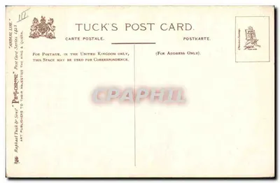 Cães de caça — Prontos para a caça — Tuck & Sons, série Animal Life n°1423 — Verso