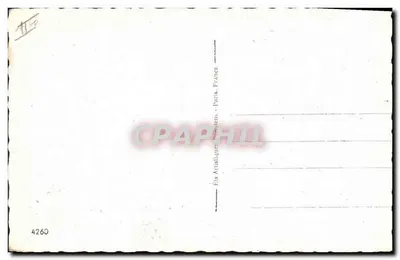 Dwa szczeniaki szkockiego teriera — Wydawca Fie Artistique Parisiens, nr 4260 — Rewers