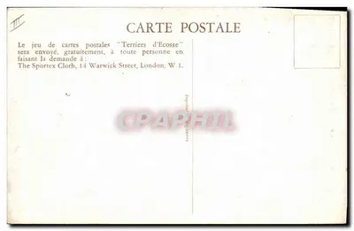 Três Scottish Terriers — O "SPORTEX" e seu cão — editor The Sportex Cloth, Londres — Verso