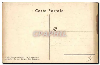 Pies Scottish Terrier — głowa z bandażem, z humorystycznym tekstem — Lacroix, n° C.65 — Rewers