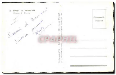 Chasse à Courre — Forêt de Tronçais — Éditions LYS — Verso