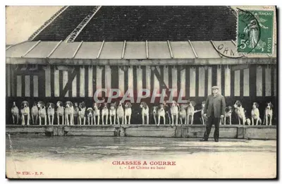 Chasses à Courre — Les Chiens au banc — E.P. N° 2730