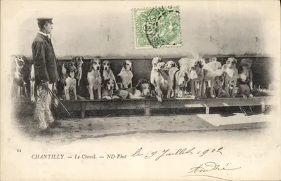 Chantilly — Der Hundezüchter — ND Phot