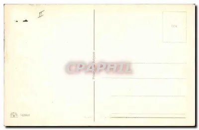 Bilhete postal antigo Cachorro Cães Acordos Internacionais — Verso
