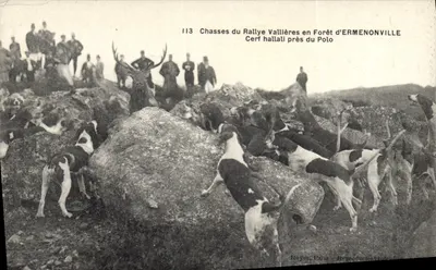 Jagd beim Rallye Vallières in der Forêt d'Ermonville — Hattali Reh nahe dem Polo — Royer, Paris