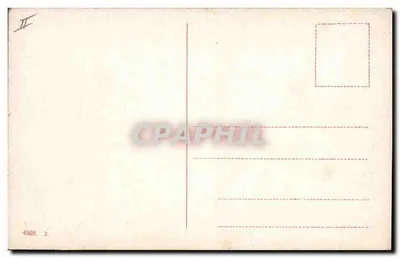 बैलों की दौड़ — ओइतांडो ला पिका — 4508 — पीछे