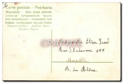 Fisch und Blumen — dekorative Karte — Verlag nicht sichtbar — Rückseite