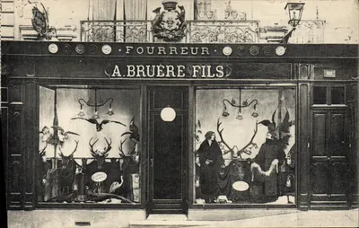 Boutique de fourreur A. Bruère Fils — Paris —