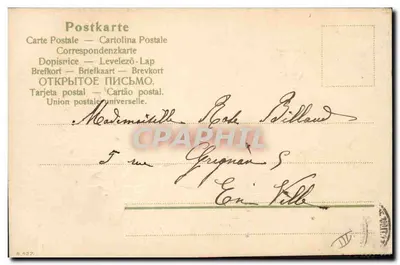 Fiori di crisantemo — Buon anno 1905 — editore non visibile — Verso